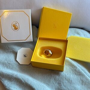 Swarovski Gold-Tone Egg 2023 Membership